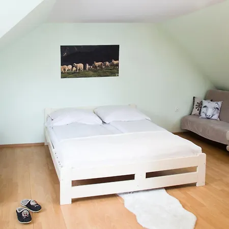Miedzy Owcami Z Elektrycznymi Rowerami Apartment Sromowce Wyzne