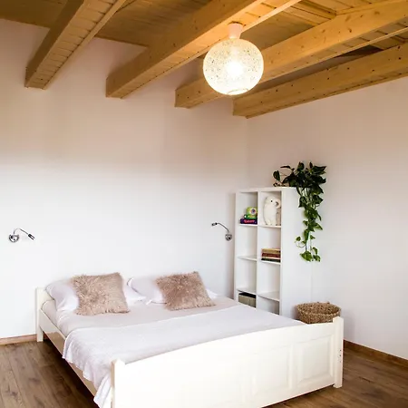 Miedzy Owcami Z Elektrycznymi Rowerami Apartment Sromowce Wyzne